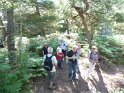 2014-07-03 10-27-42 Rando foret de Nemours FGn
